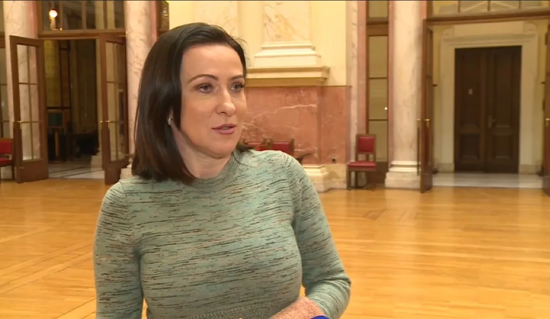 Kosovska vlada traži oštrije reagiranje EU-a na izjavu srbijanske ministrice