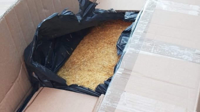 USKOK pokrenuo istragu: Četvorica uhvaćena u švercu preko tone duhana