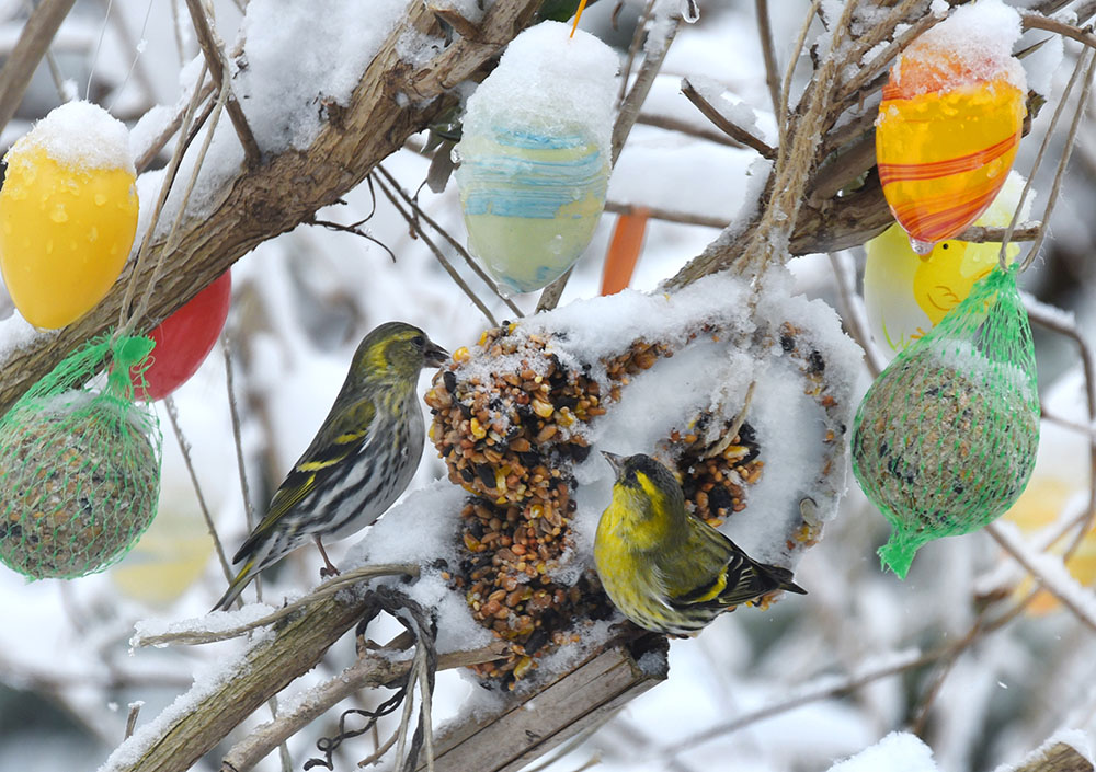 AFP/Waltraud Grubitzsch