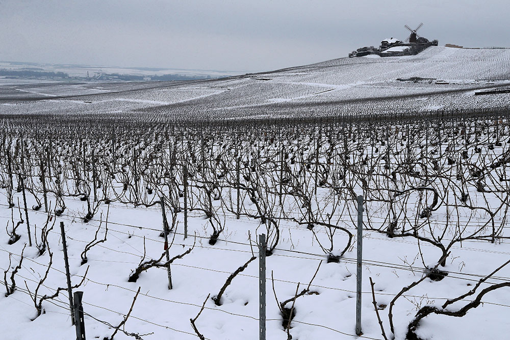 AFP/Francois Nascimbeni