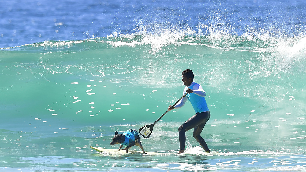 AFP/Frederic J. Brown