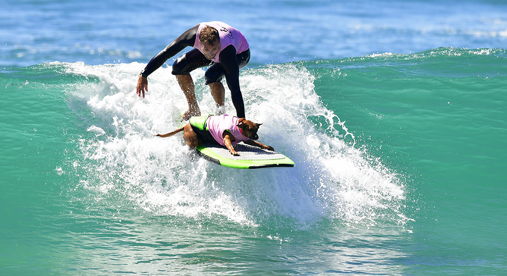 AFP/Frederic J. Brown