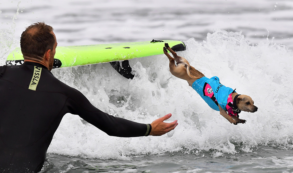 AFP/Frederic J. Brown