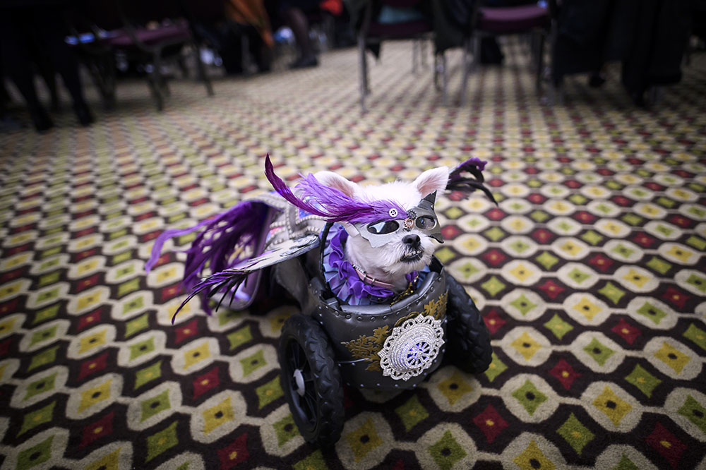 Reuters/Shannon Stapleton