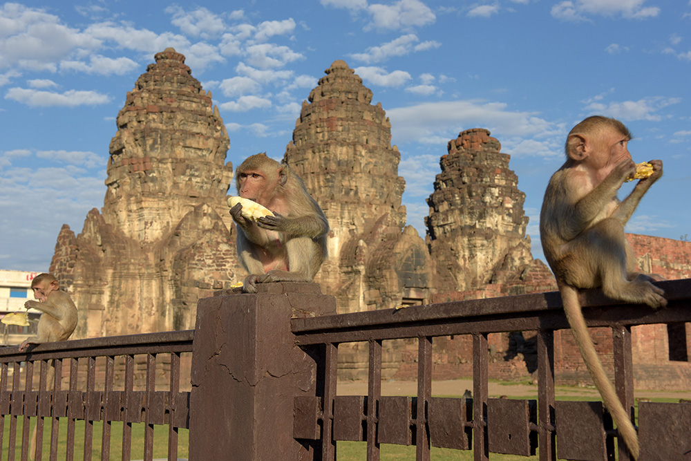 AFP/Tang Chhin Sothy