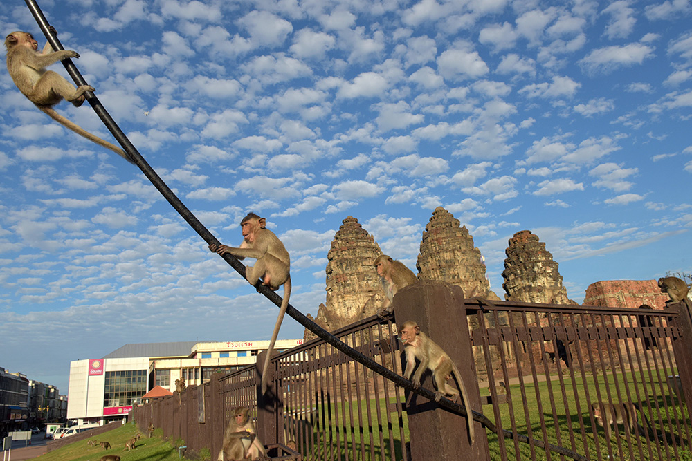AFP/Tang Chhin Sothy