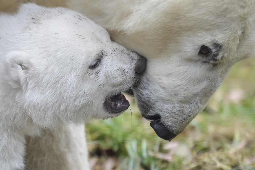 AFP/Guenter Schiffmann