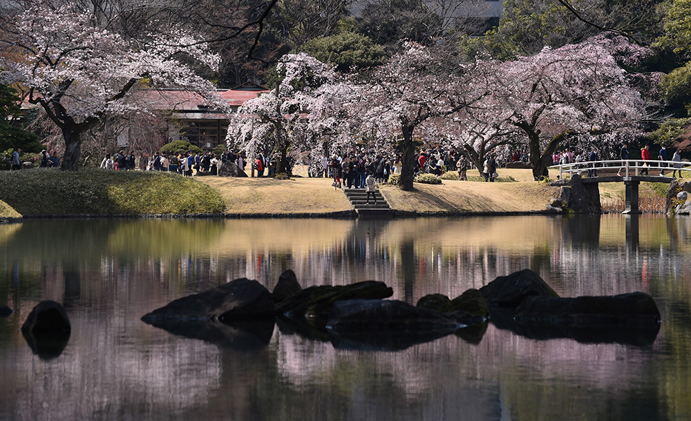 AFP/Kazuhiro Nogi