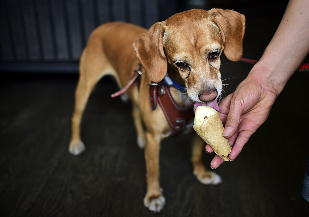 AFP/Ronaldo Schemidt