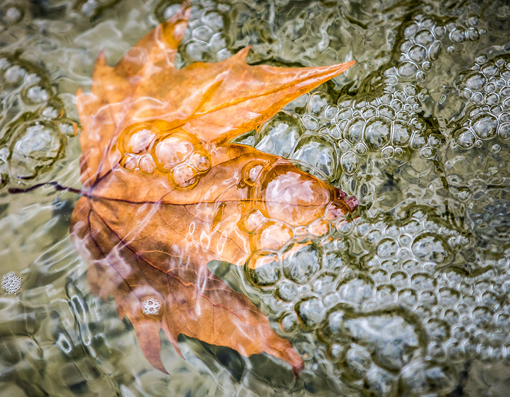 AFP/Frank Rumpenhorst