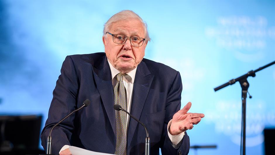 Sir David Attenborough