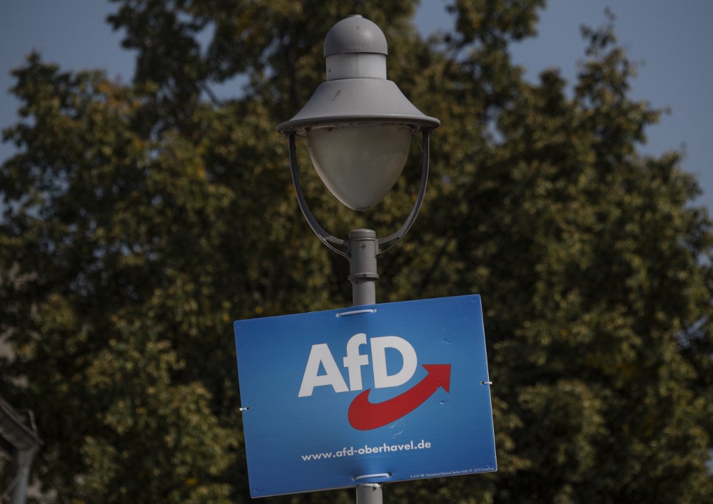 Alternativa za Njemačku, AfD