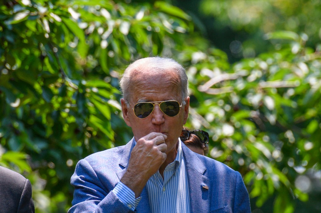 joe biden