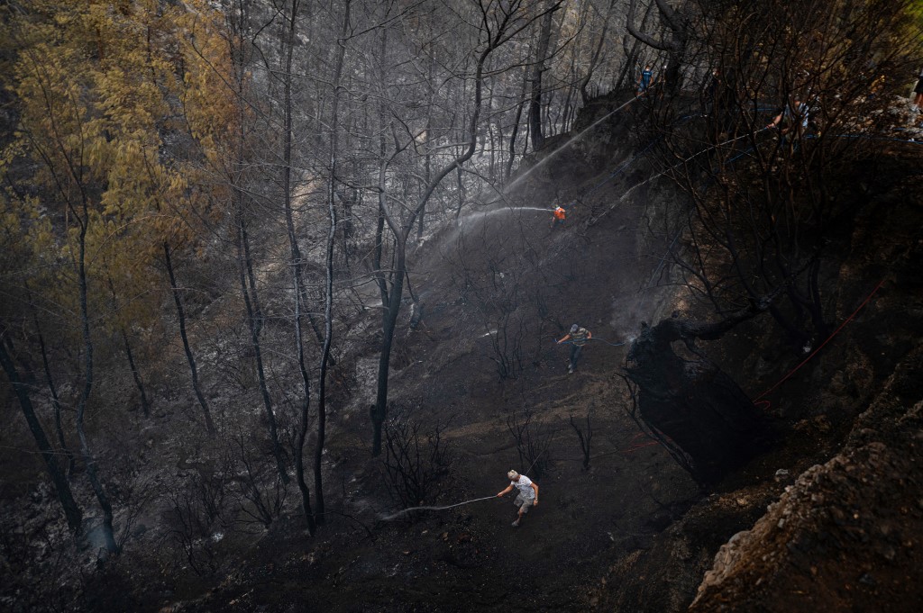 požar, šumski požar, požar turska