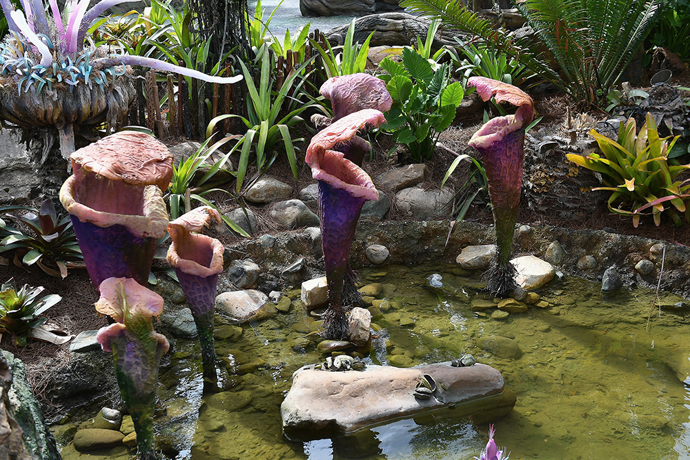 AFP/Gustavo Caballero