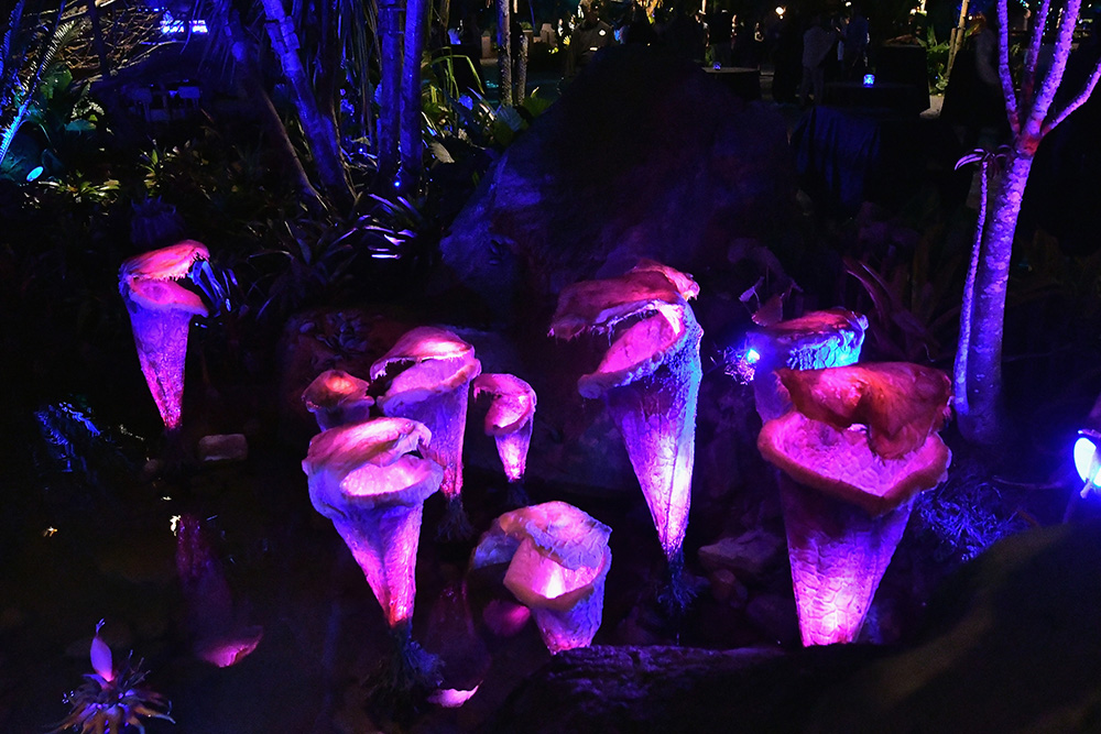 AFP/Gustavo Caballero