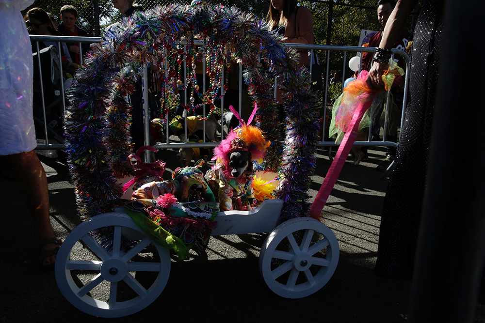 AFP/Eduardo Munoz Alvarez