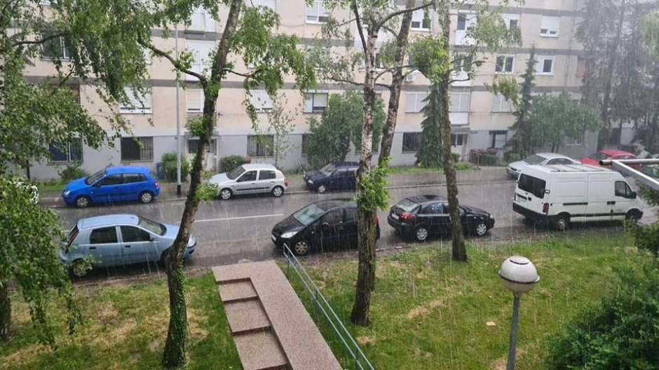 102720692_369181150723055_8898552069804261376_n