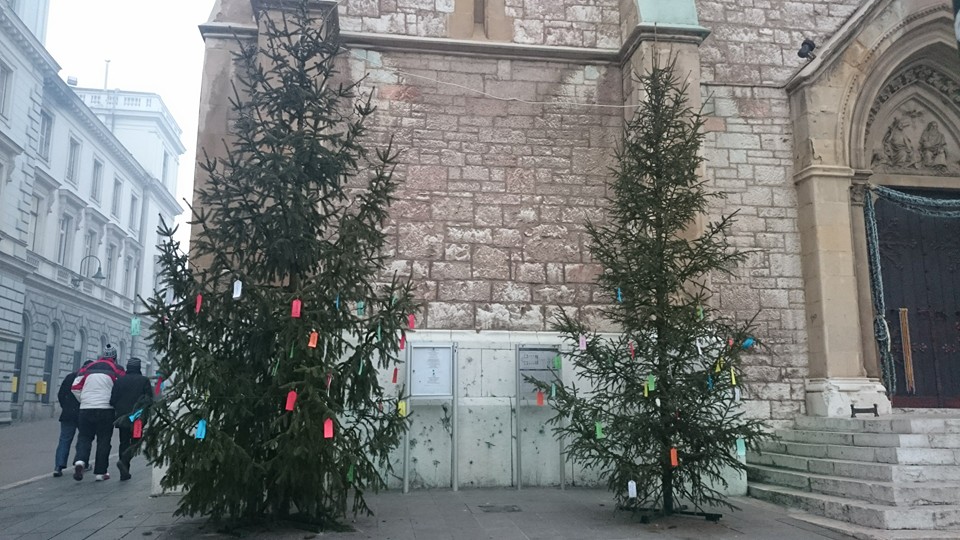 10389362_1081574885220700_7563872533442370079_n