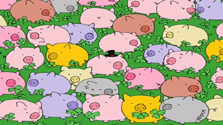 10620722_724853840949864_6740343943357334010_n