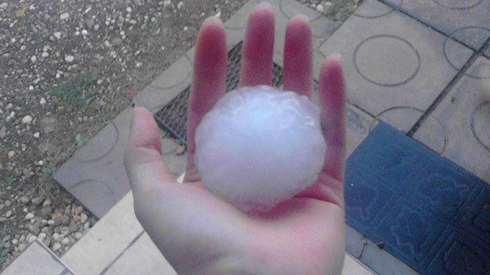 11221838_987900701244907_5101848480250413343_n