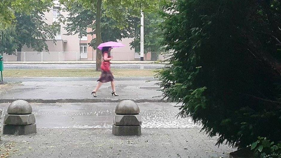 11721442_10153550568782053_1457706434_n