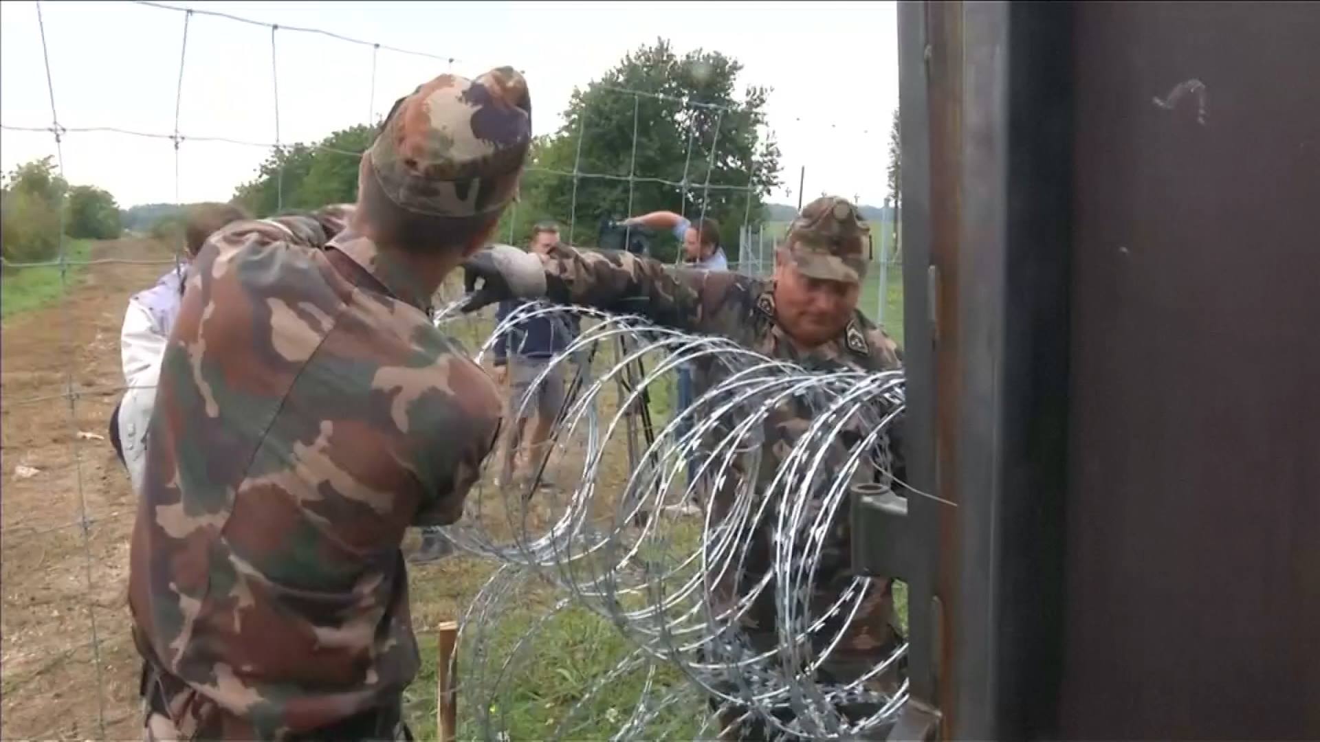 12019144_10207894260133350_1911172150_o