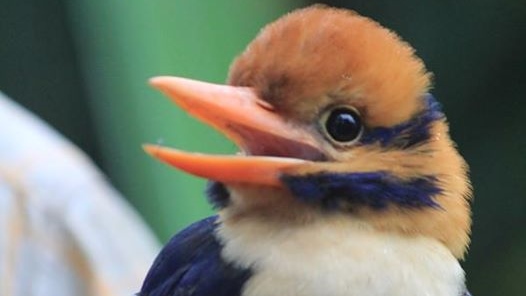 12031997_10152968462026991_7394013622354546340_n