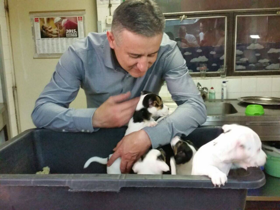 12039127_1033038146754212_1848710348812975988_o