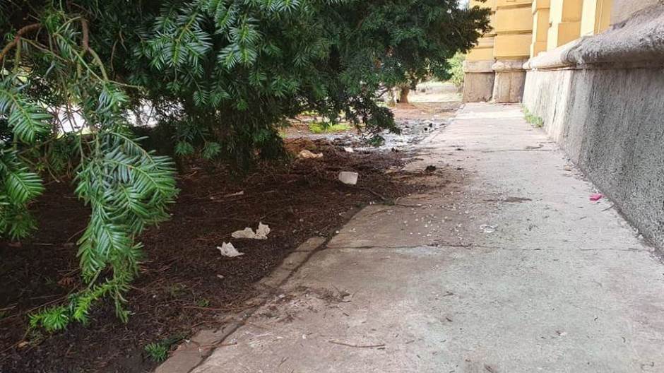 121305720_10158802988214241_2149824196860531790_n