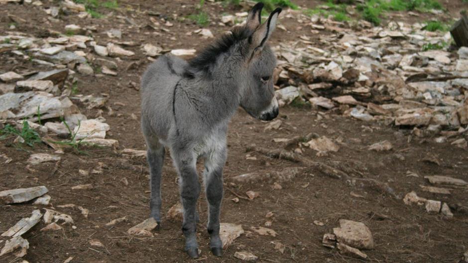 12970777_1056661204372884_2218532008783369942_o