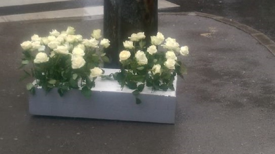 13140761_1705629709713500_864915169_n