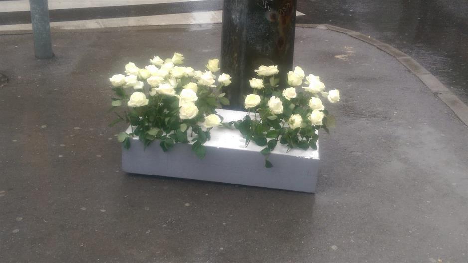 13148235_1705629723046832_1617400937_o