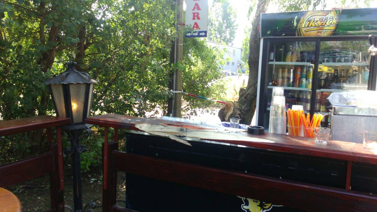 13588735_10210069575594877_786723536_o