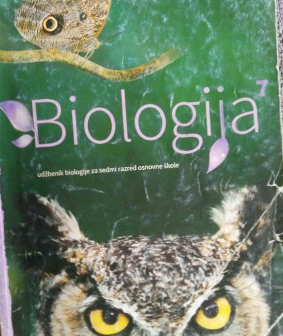 14556076_10208855145308246_1181776439_n