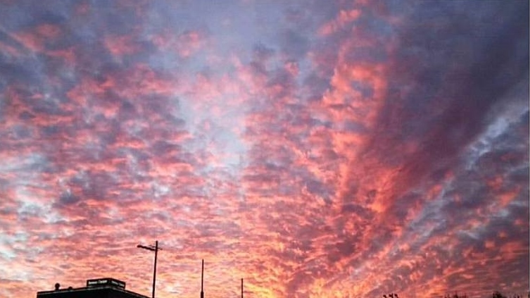 15135816_10153973910151691_2057702413263156385_n