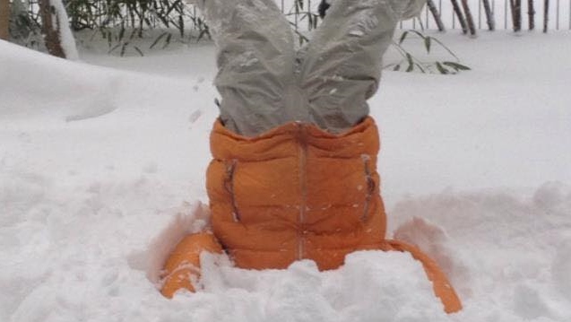 15424584_10209418987363945_1562431214_n