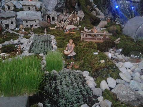 15750368_1641502492531886_1543717152_n