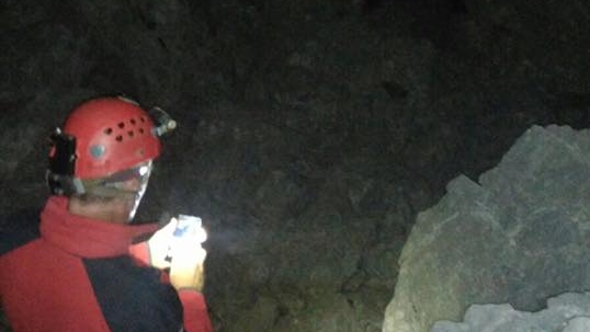 16002850_1076639619111818_6756163539314754610_n