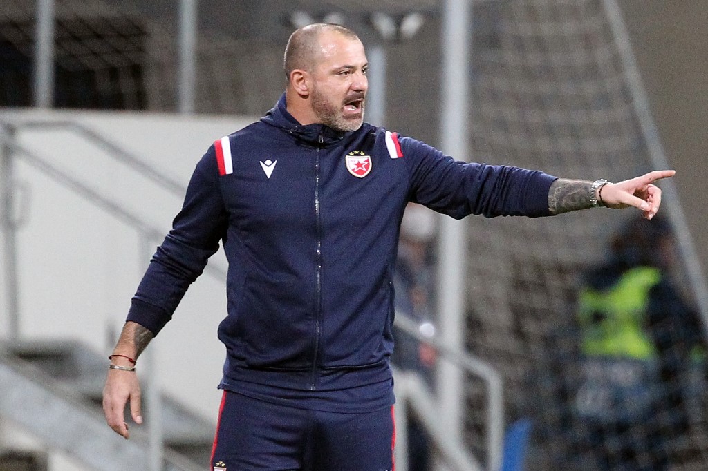 Dejan Stanković, crvena zvezda