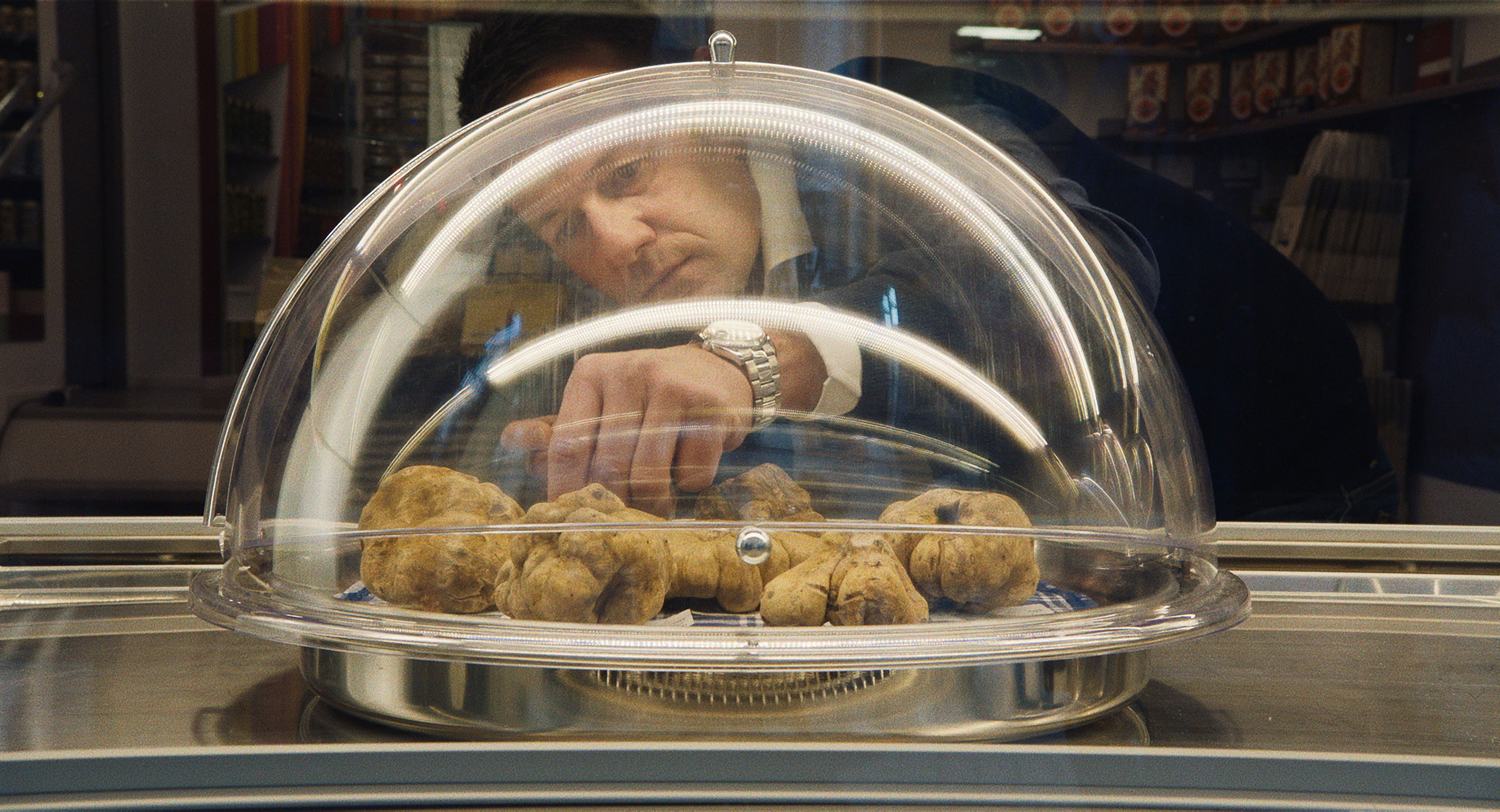 Motovun Film Festival