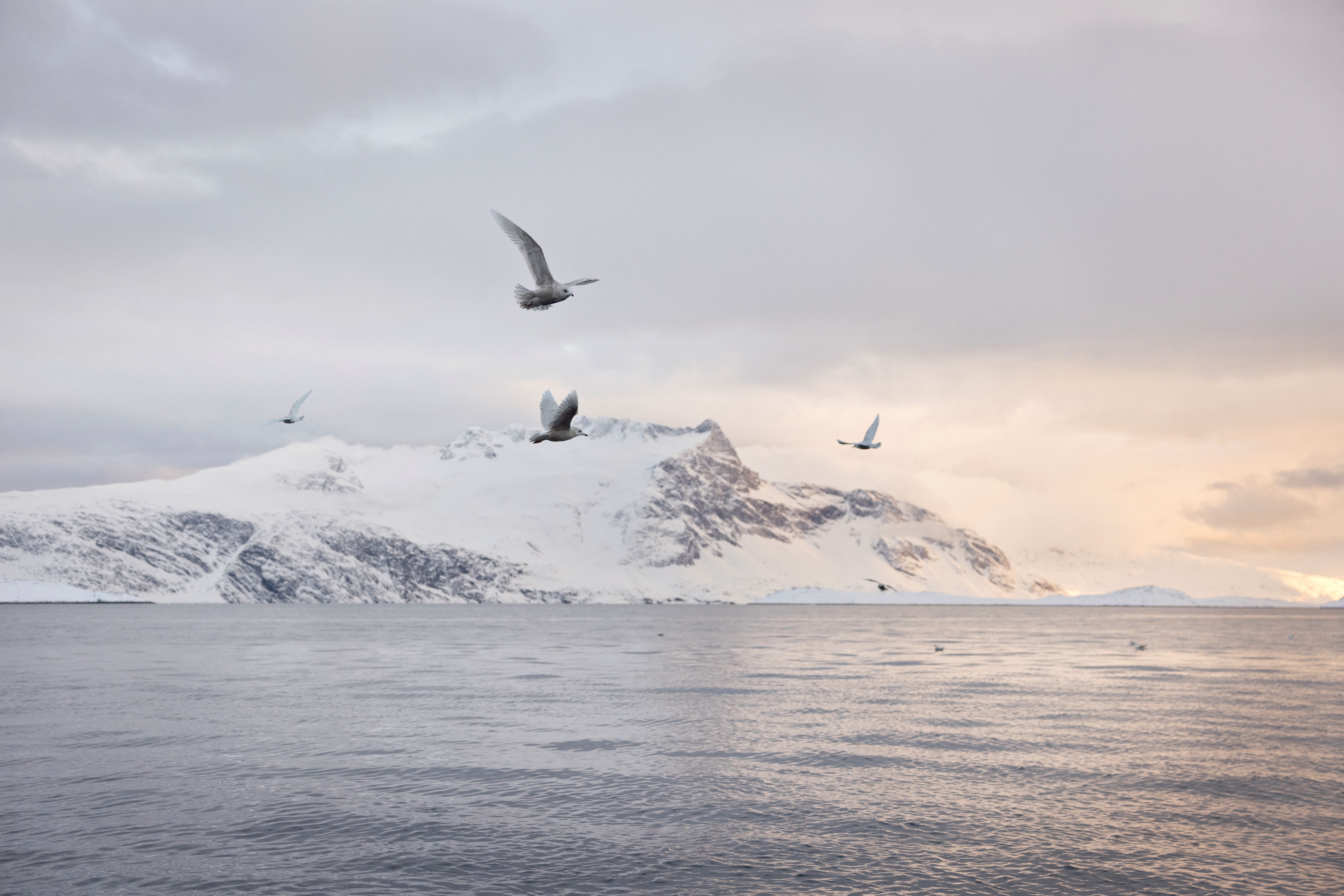 GREENLAND-DENMARK-VOTE