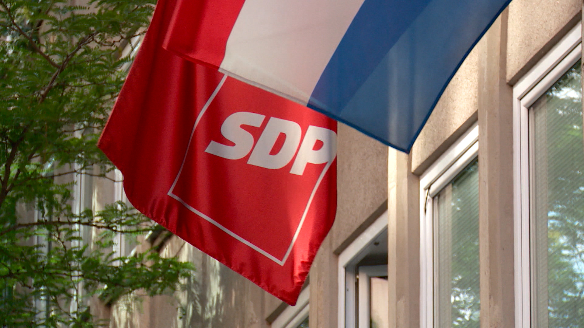 SDP logo