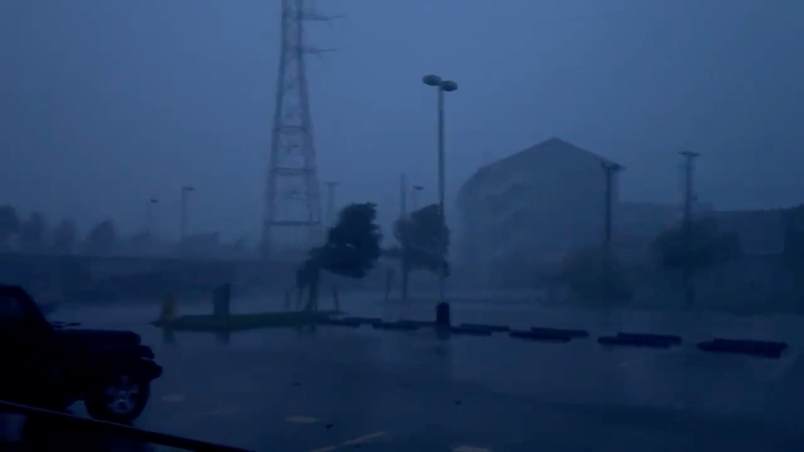 Trees sway amidst heavy rain during Hurricane Ida in Bywater