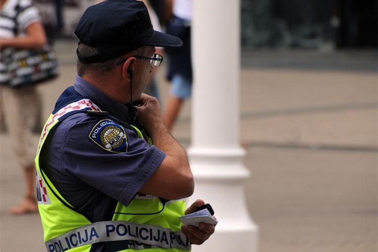 Policajac, policija
