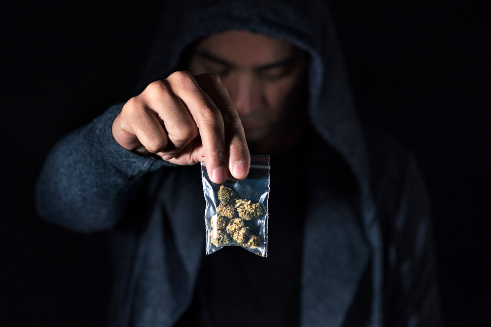 trava, marihuana, kanabis, mladić, droga