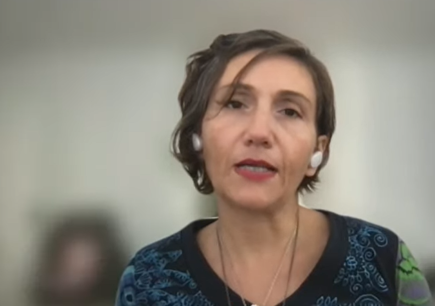 vjera magdalenić moussavi web