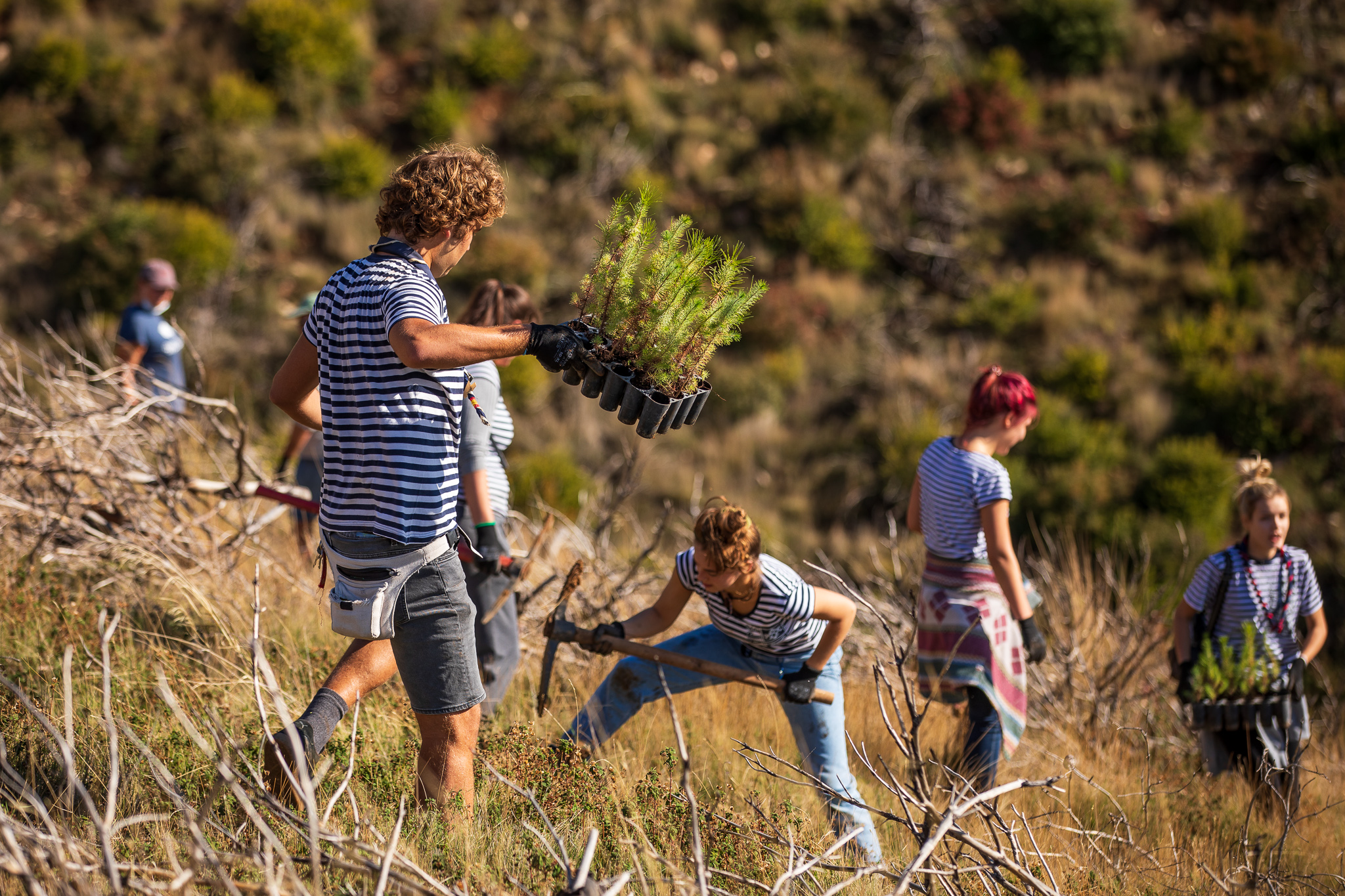 Boranka, kampanja pošumljavanja (2)