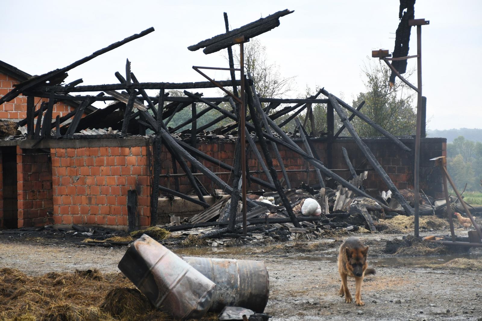Stara Ploščica: U požaru na OPG-u Marinković izgorjela stoka