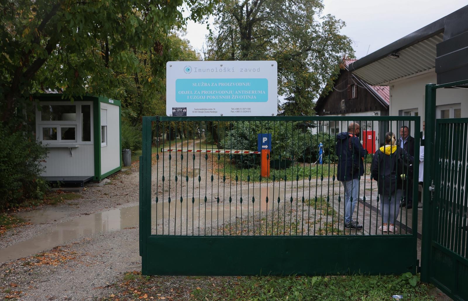 imunološki zavod, sveta nedelja